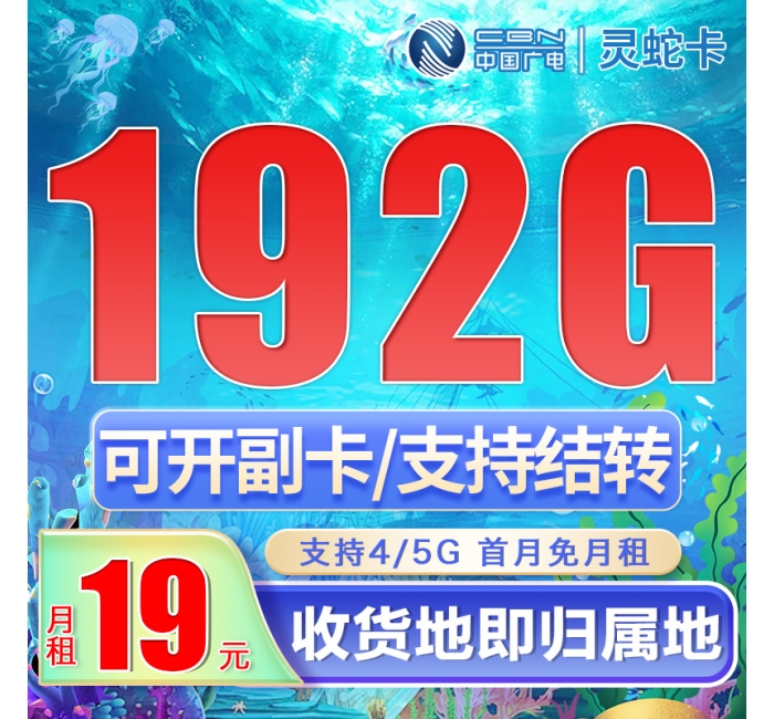 广电灵蛇卡19元192G通用流量（流量支持结转）+可选号
