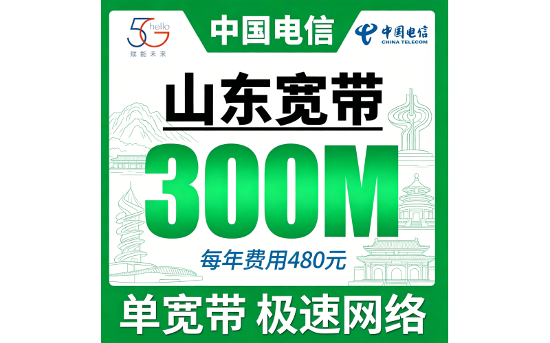 山东单宽带电信480元年享300Mbps
