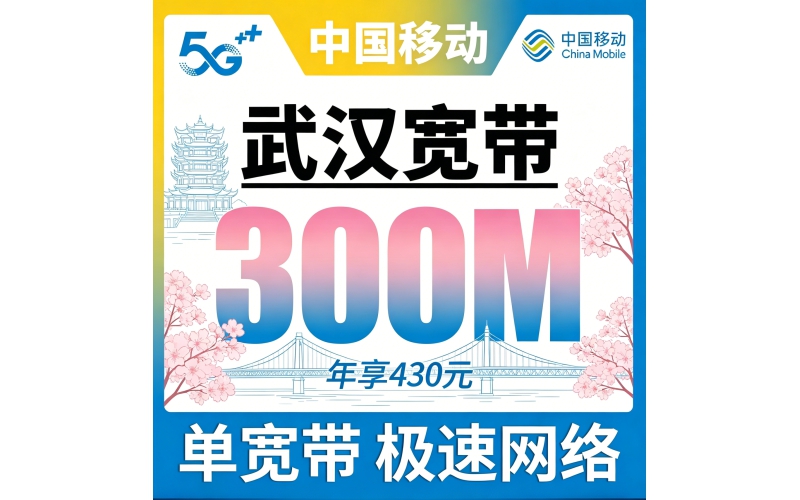 武汉单宽带移动430元年享300bps