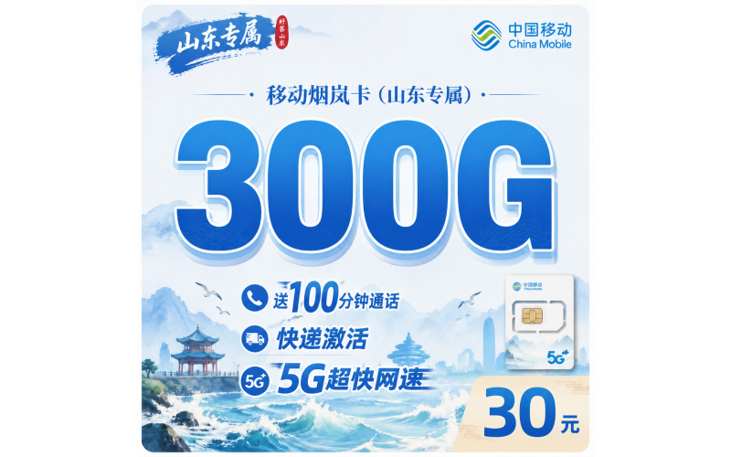 移动烟岚卡30元300G+100分钟+山东专属！